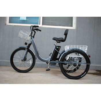 Электровелосипед GreenCamel Трайк-B (R24 500W 48V 15Ah)